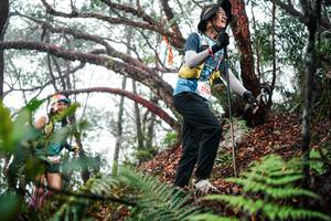 BIB: 
                            <button type="button" onclick="openModal(26297228)" class="btn btn-primary btn-sm float-right btn-popup" data-toggle="modal" data-target=".modal-high-quality">
                        <i class="fas fa-shopping-cart"></i> Add to Cart
                    </button>
                                            <button type="button" onclick="isThisMe(26297228, true)" class="btn btn-success btn-sm float-right btn-popup btn-isme hidden" data-toggle="tooltip" data-placement="bottom" title="นี่คือรูปของคุณใช่ไหม คลิกที่นี่เพื่อเอาเข้าอัลบั้ม">
                        <i class="fas fa-plus"></i> Add to album
                    </button>
                    <button type="button" onclick="isThisMe(26297228, false)" class="btn btn-warning btn-sm float-right btn-popup btn-isnotme hidden">
                        <i class="fas fa-ban"></i> Remove from album
                    </button>